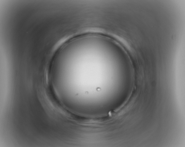 X0000114011271200910091416