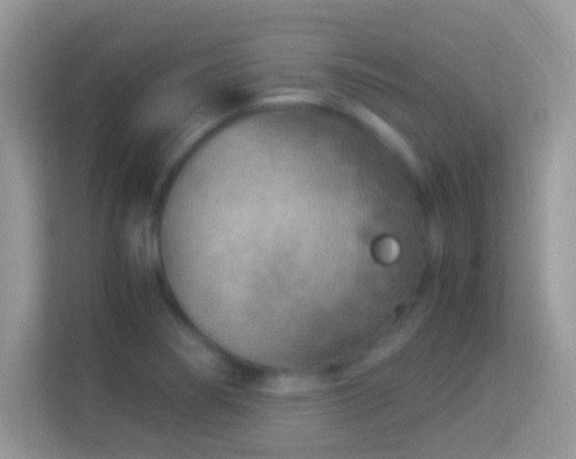 X0000114011274200910091416
