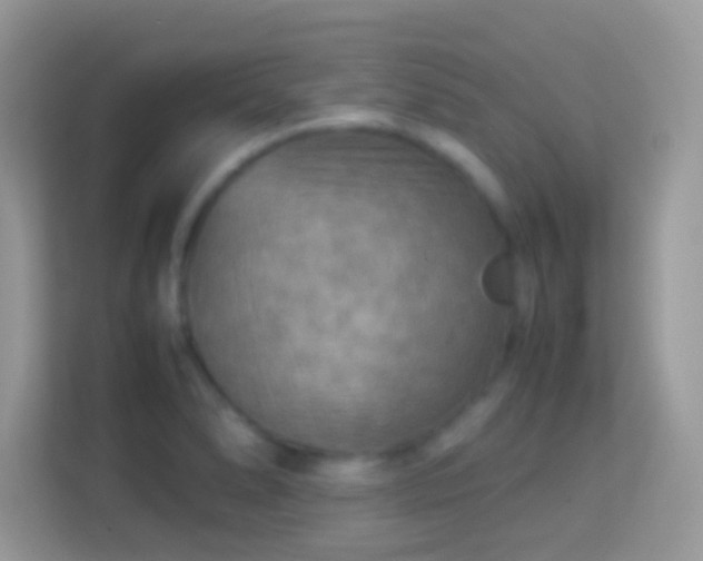 X0000114011278200910091416