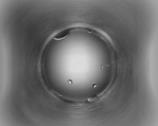 X0000114011279200910091416