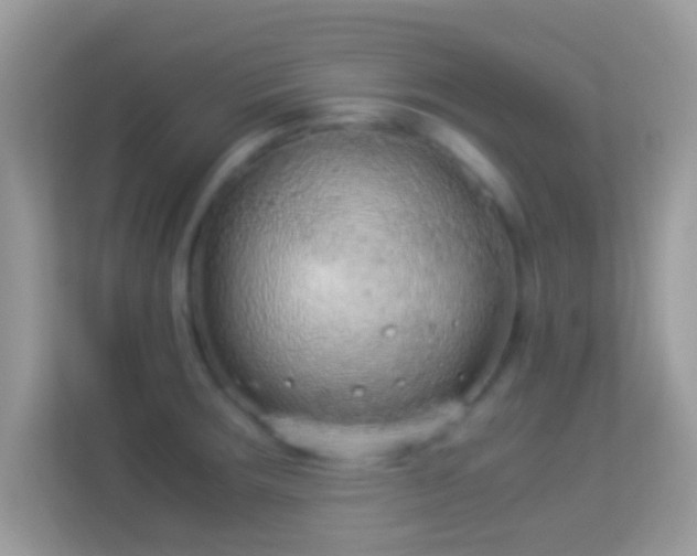X0000114011283200910091416