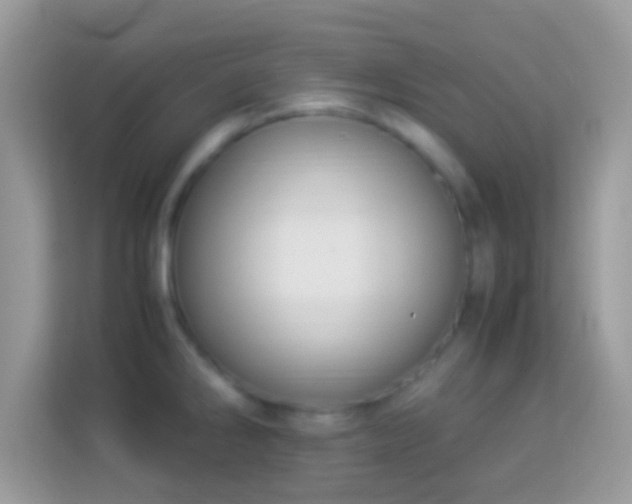 X0000114011286200910091416