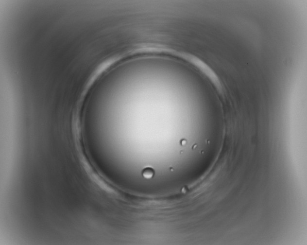 X0000114011287200910091416