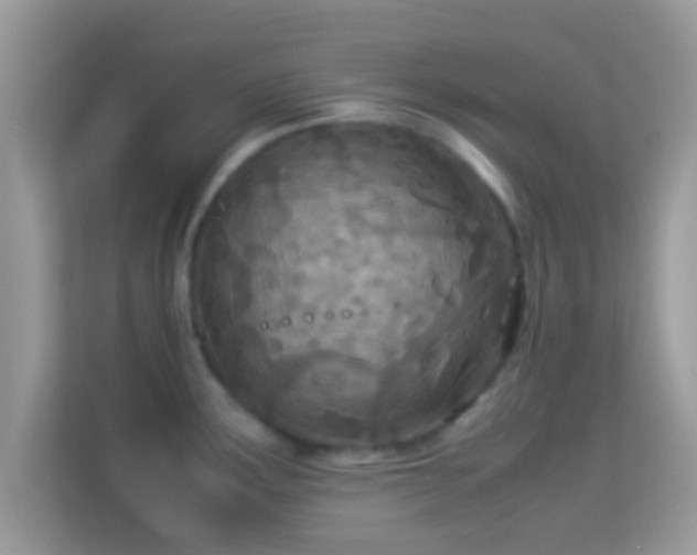 X0000114011291200910091416