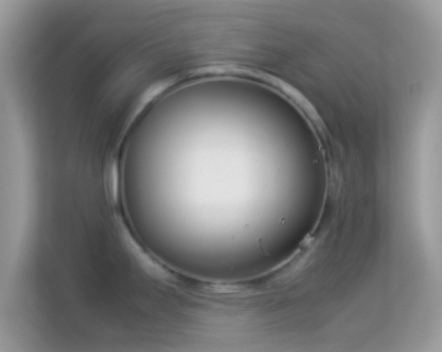 X0000114011295200910091416