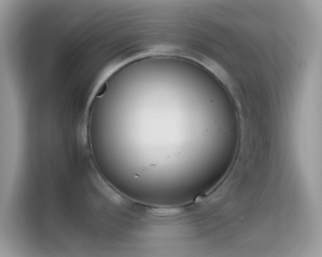 X0000114011296200910091416