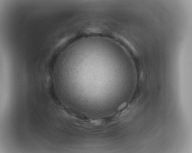 X0000114011303200910091415