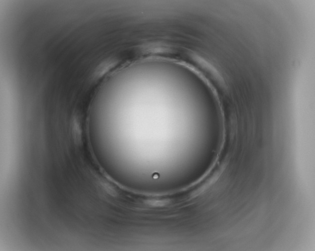 X0000114011305200910091415