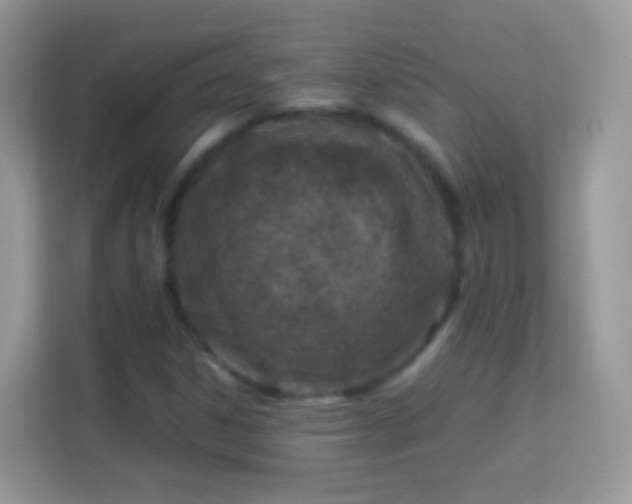 X0000114011306200910091415