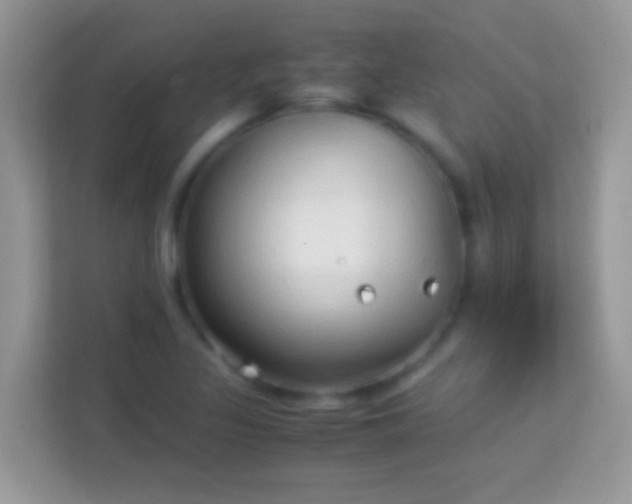 X0000114011317200910091416