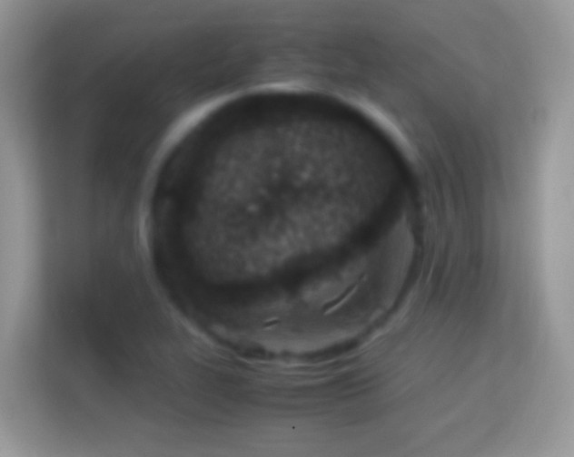 X0000114011319200910091416