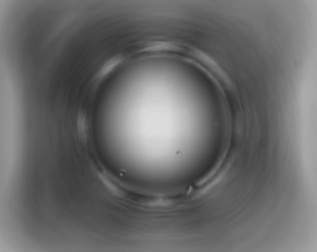 X0000114011321200910091416