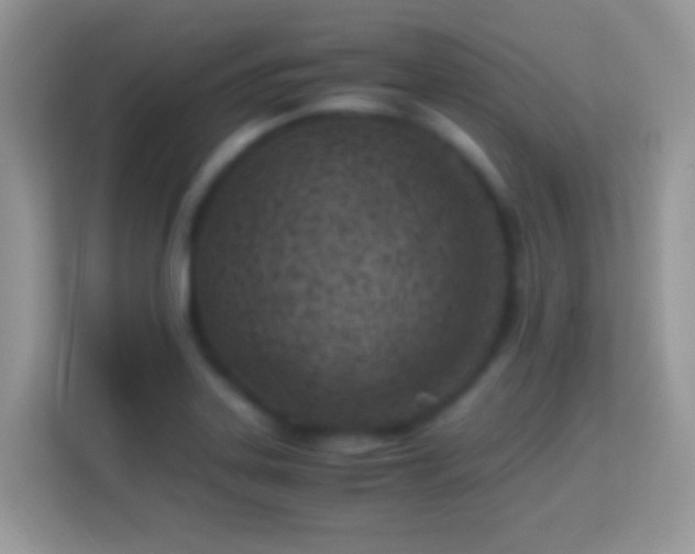 X0000114011323200910091416