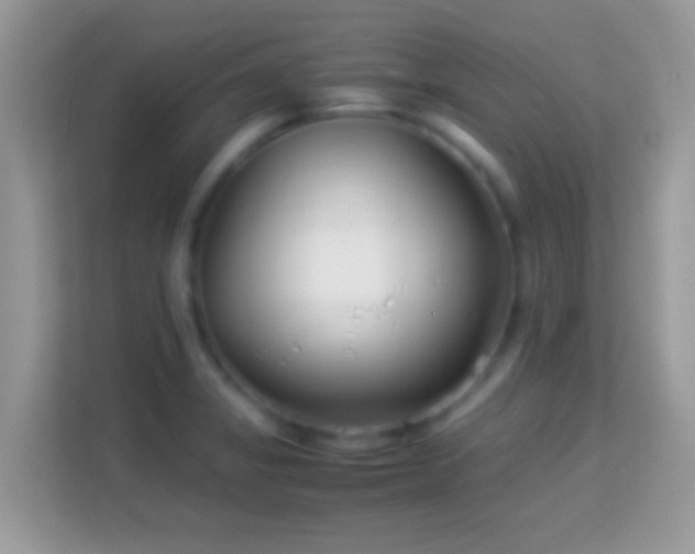 X0000114011325200910091416