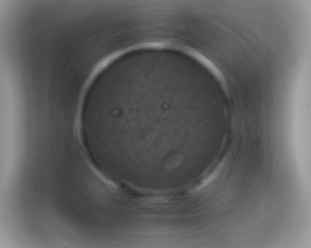 X0000114011327200910091416