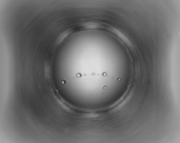 X0000114011329200910091416