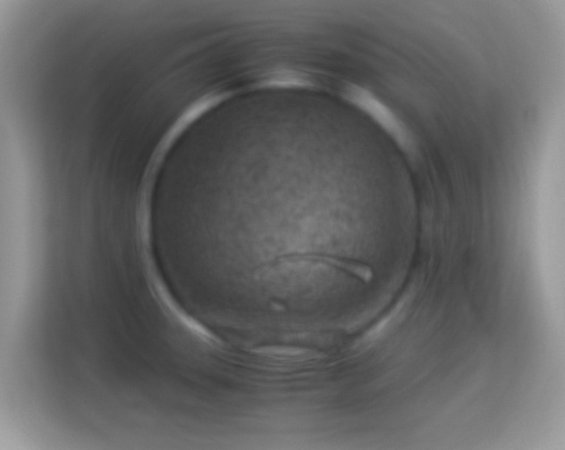 X0000114011331200910091416