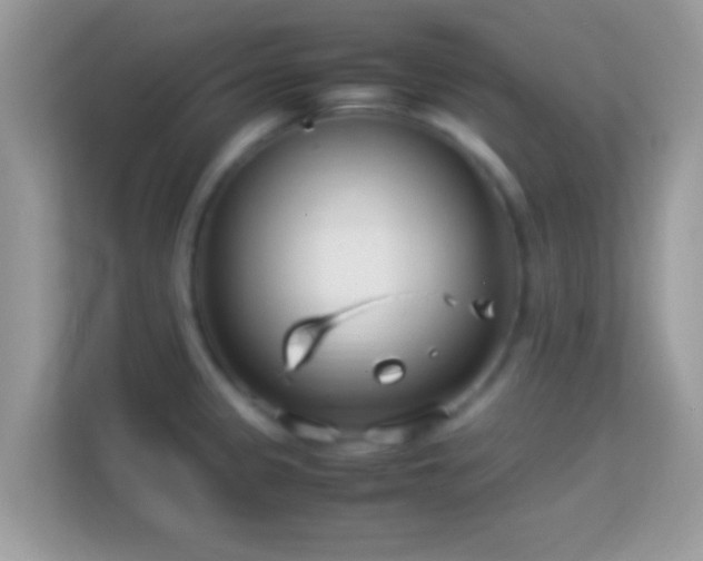 X0000114011333200910091416