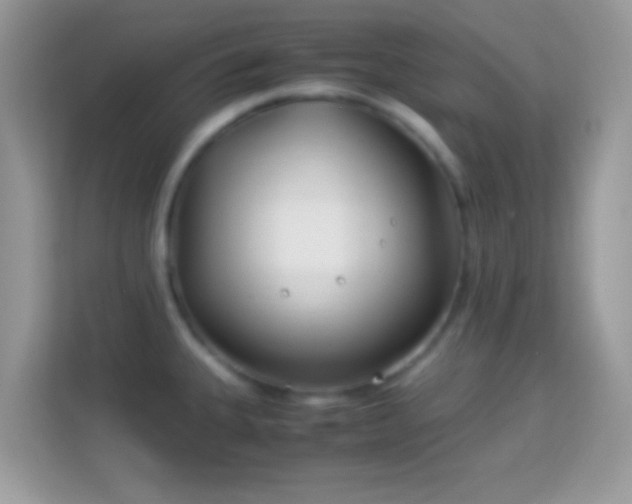 X0000114011335200910091416