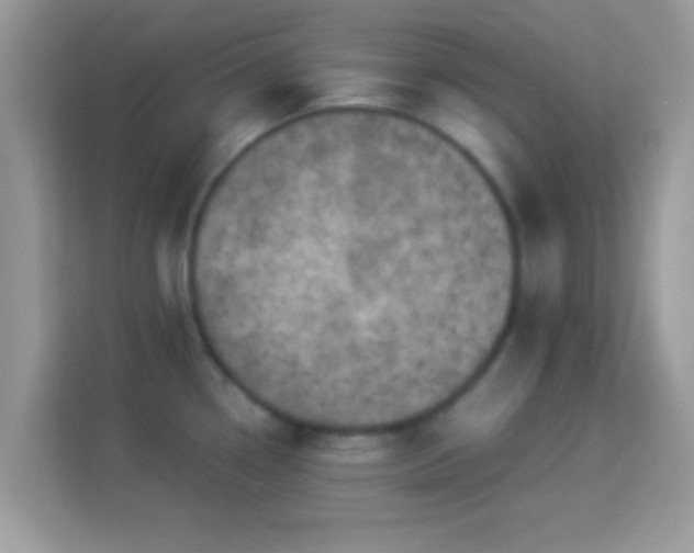 X0000114011338200910091416