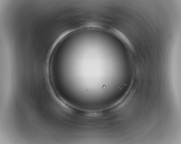 X0000114011339200910091416