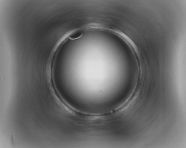 X0000114011341200910091416