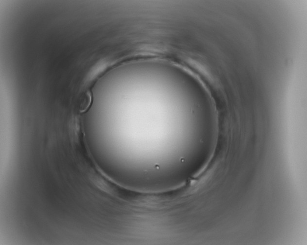 X0000114011355200910091415