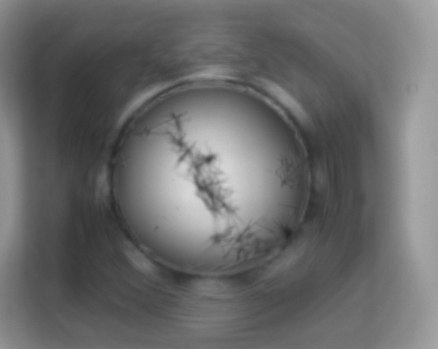 X0000114011356200910091415