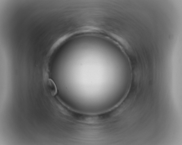 X0000114011363200910091415