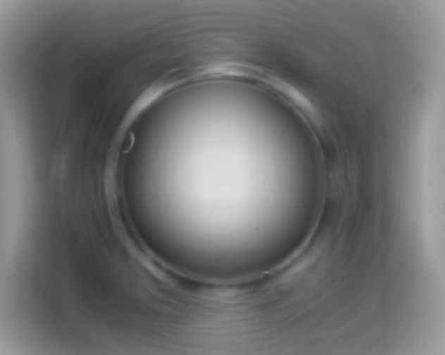 X0000114011373200910091415