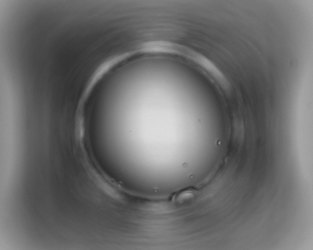 X0000114011376200910091415