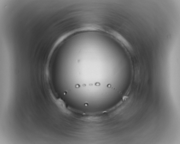 X0000114011380200910091415
