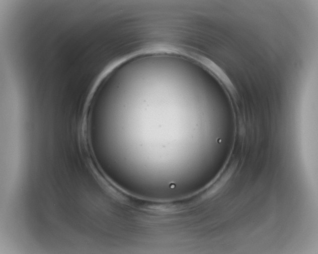 X0000114011388200910091415