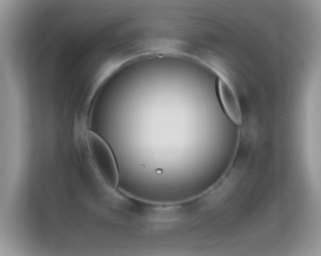 X0000114011389200910091415