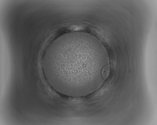 X0000114011393200910091414