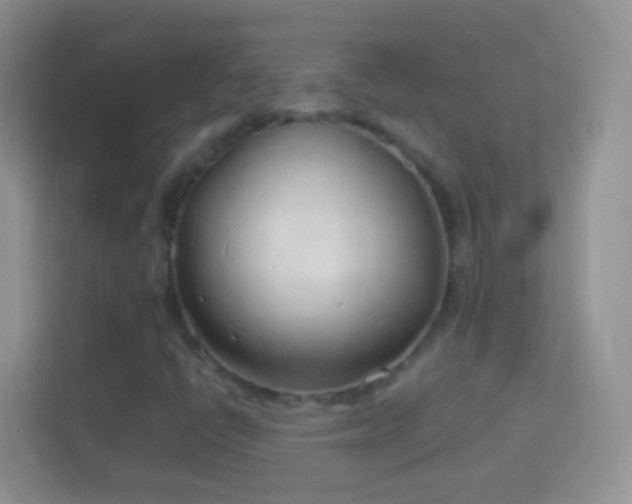 X0000114011398200910091414