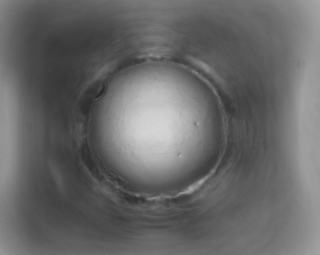 X0000114011399200910091414