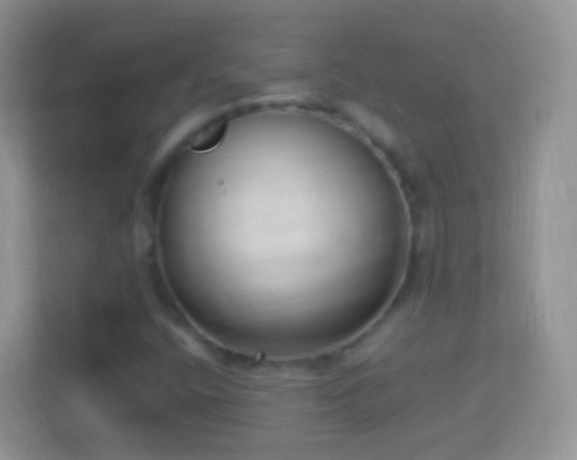 X0000114011400200910091414