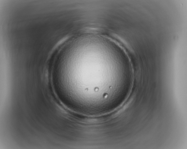 X0000114011402200910091414