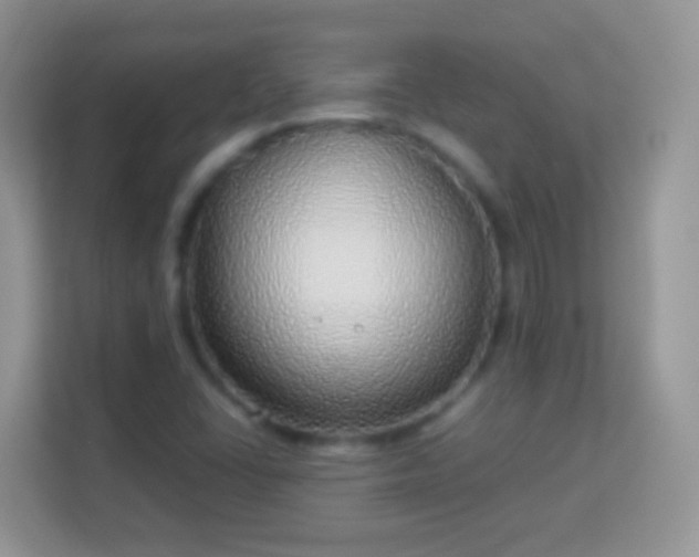 X0000114011406200910091414