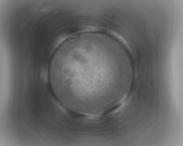 X0000114011409200910091414