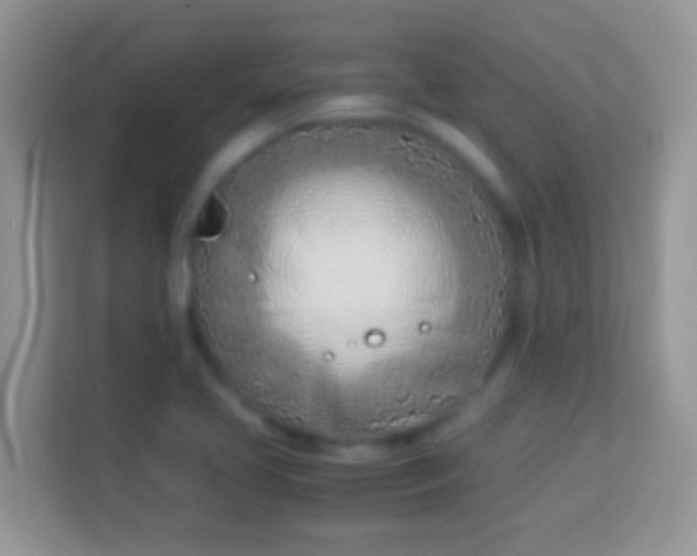 X0000114011413200910091414