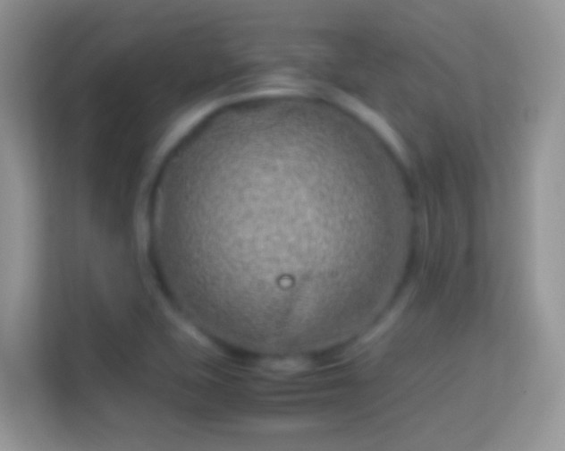 X0000114011415200910091414