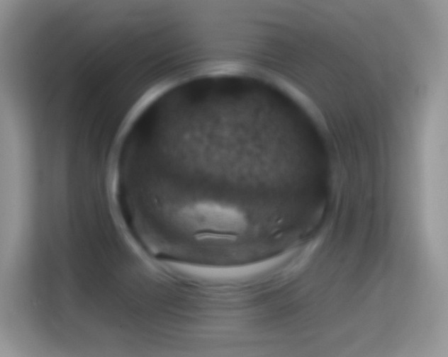 X0000114011418200910091414