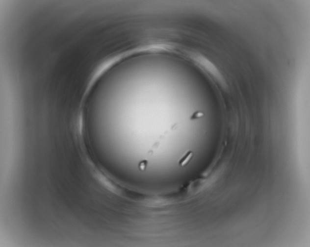 X0000114011420200910091414