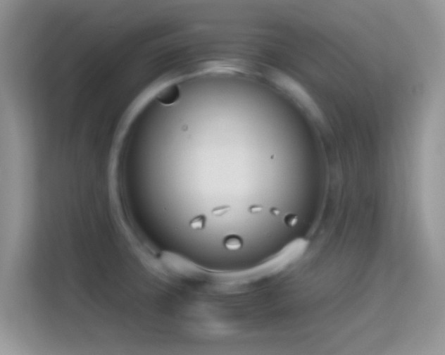 X0000114011427200910091415