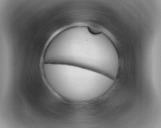 X0000114011428200910091415