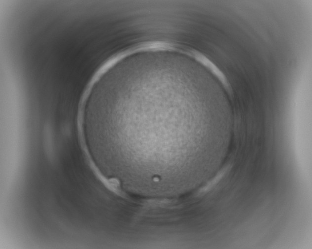 X0000114011429200910091415
