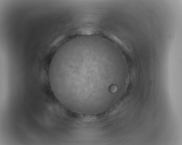 X0000114011446200910091414