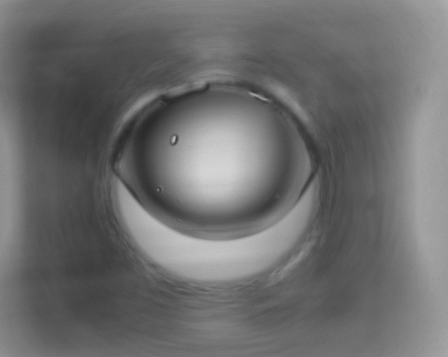 X0000114011453200910091414